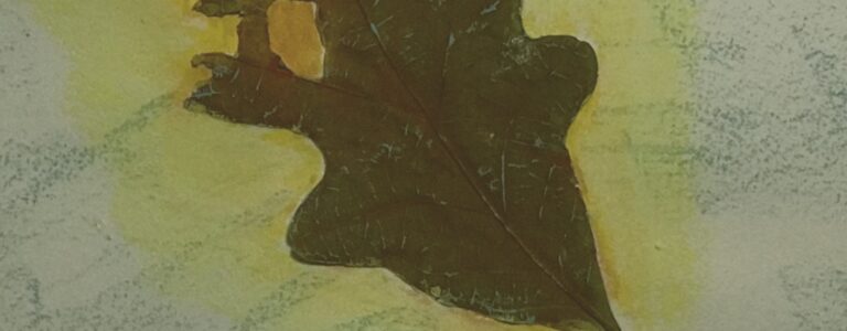 Missing Mum, Memoir by COIPI’s Founder: A childhood marked by prison. A life shaped by resilience.